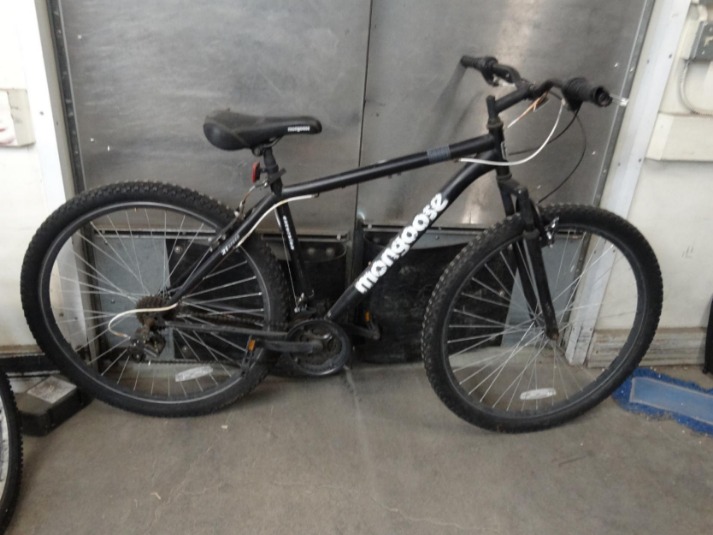 mongoose excursion mountain bike