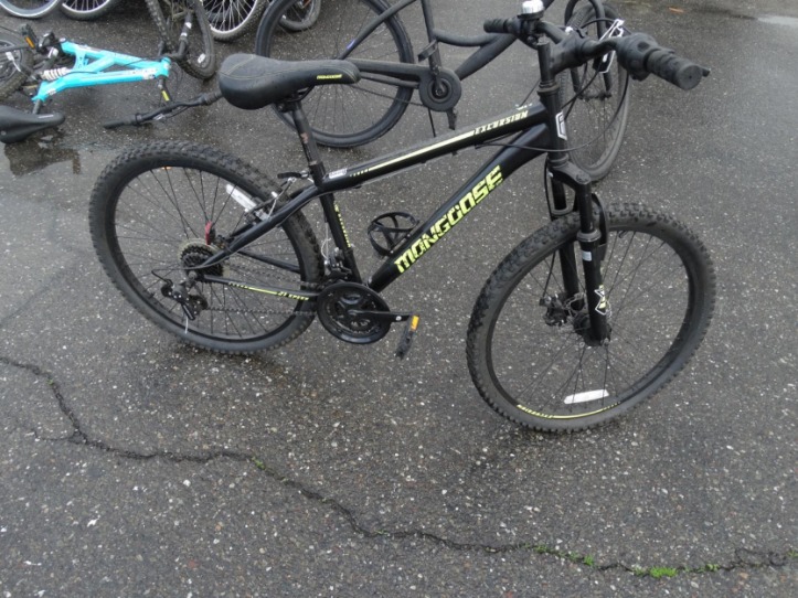 mongoose excursion mountain bike
