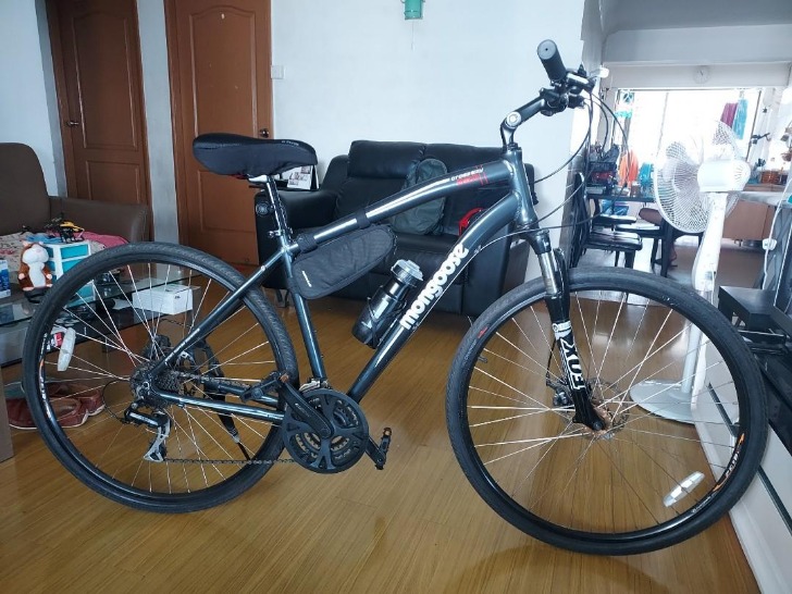 mongoose hybrid bike